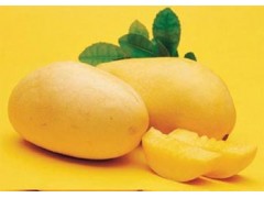 Mango sulčių milteliai