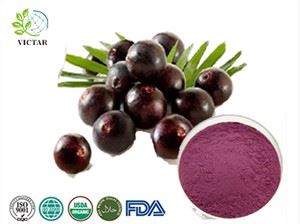 Acai uogų sulčių milteliai