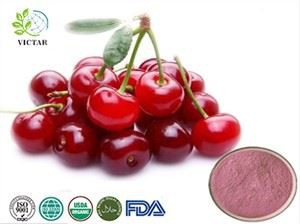 Vyšnių vaisių milteliai