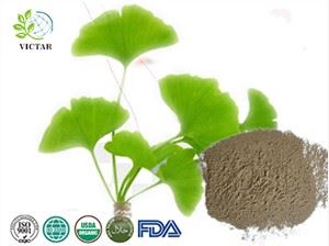 Ekologiški Ginkgo Biloba milteliai