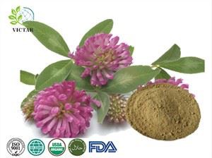 Raudonųjų dobilų ekstraktas