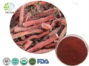 Salvia Miltiorrhiza ekstraktas