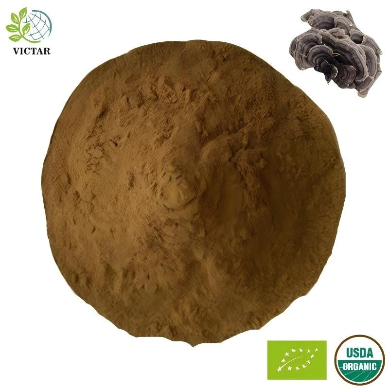 Organinis Coriouls Versicolor ekstraktas